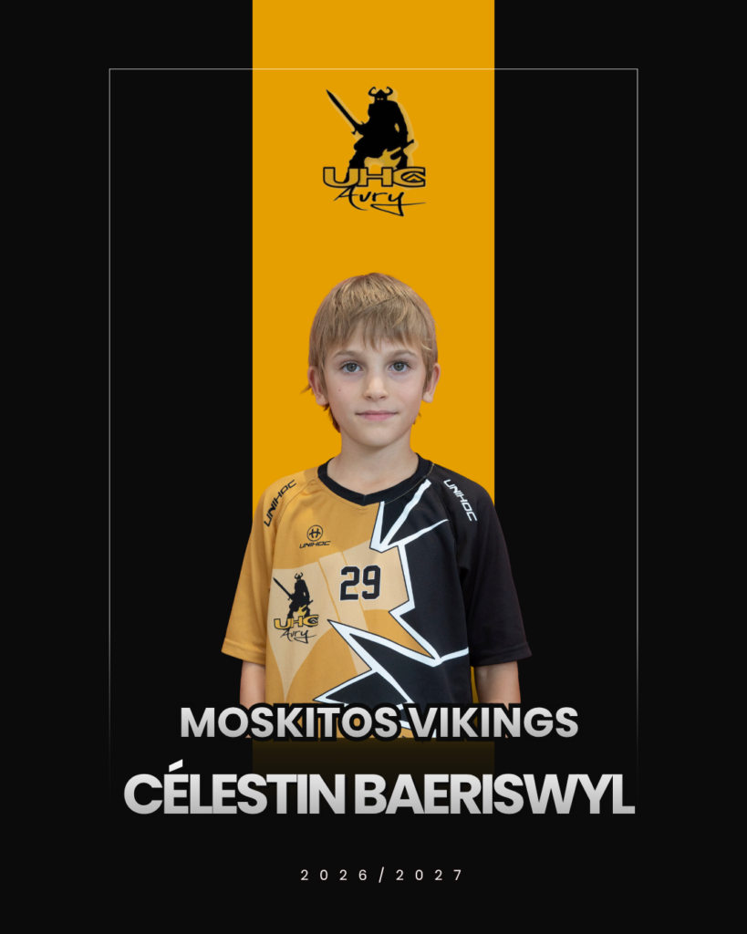 UHC Avry - Moskitos Vikings 2026/2027