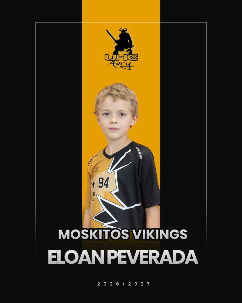 UHC Avry - Moskitos Vikings 2026/2027