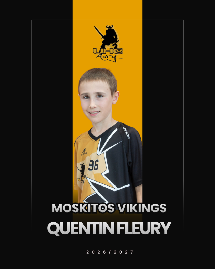 UHC Avry - Moskitos Vikings 2026/2027
